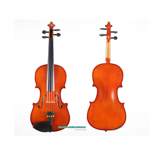 Violin Kreutzer School