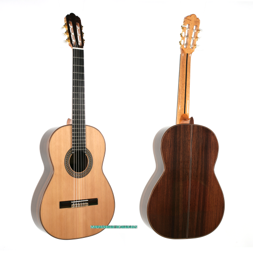 Guitar F. Caldera Lidia