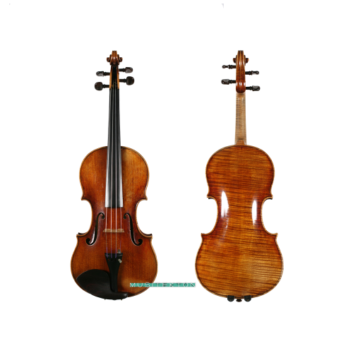 Violin Paul Kaul