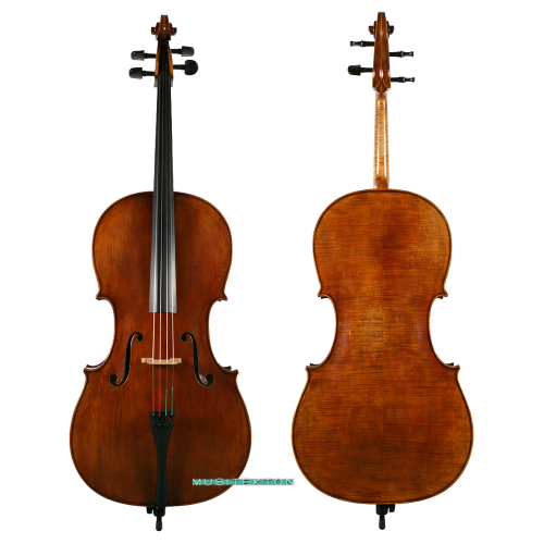 Cello Antonio Wang Viena