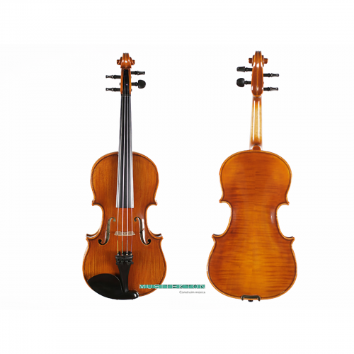 Violin TianYin Laurea