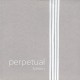 Cuerda Cello Pirastro Perpetual Edition