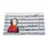 Camussa microfibra Mozart
