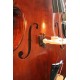 Pickup David Gage The Realist Soundclip for double bass