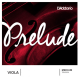 Corda Viola D'Addario Prelude