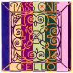 Corda Cello Pirastro Passione