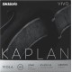 Corda Viola D'Addario Kaplan Vivo