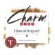 Corda Contrabaix For-Tune Charm Kids Orchestra Tungsten