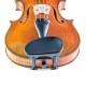 Barbada Viola Wittner Augsburg