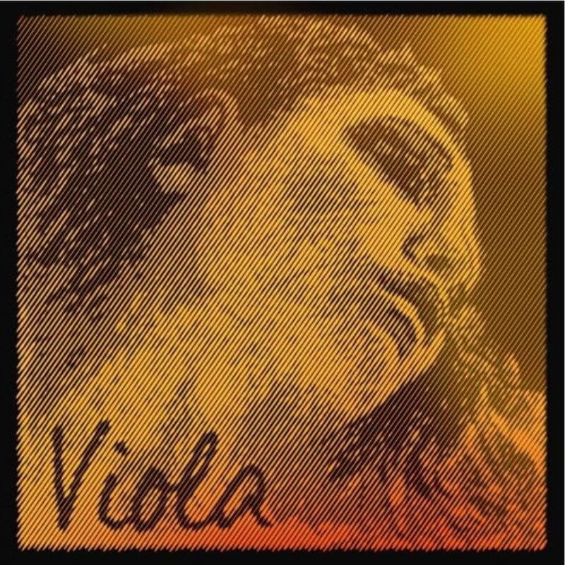 Corda Viola Pirastro Evah Pirazzi Gold