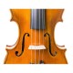 Violín Antonio Wang Verona